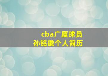 cba广厦球员孙铭徽个人简历