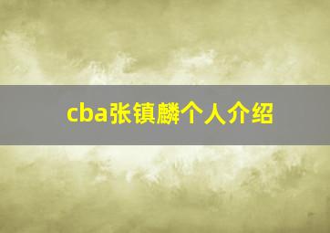 cba张镇麟个人介绍