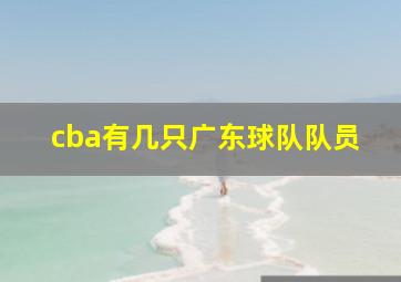 cba有几只广东球队队员