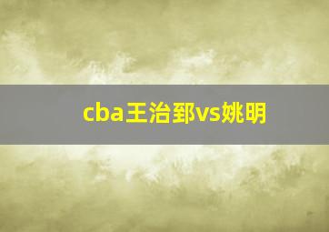 cba王治郅vs姚明