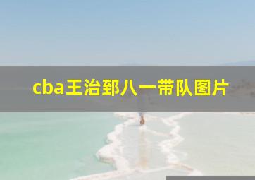 cba王治郅八一带队图片