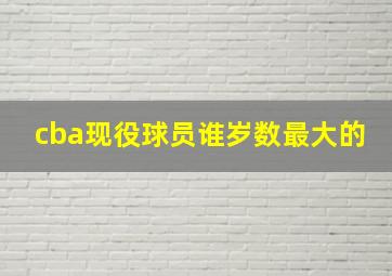 cba现役球员谁岁数最大的