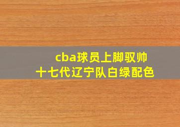 cba球员上脚驭帅十七代辽宁队白绿配色