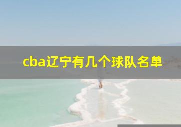 cba辽宁有几个球队名单