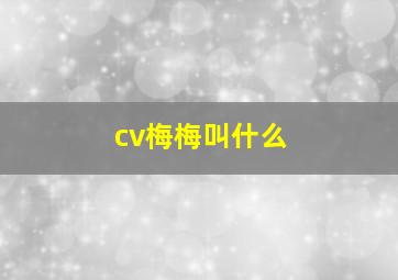 cv梅梅叫什么