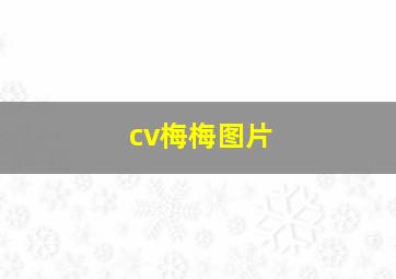 cv梅梅图片