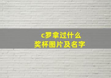 c罗拿过什么奖杯图片及名字