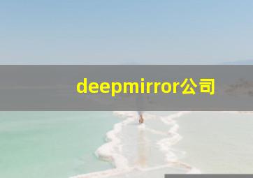 deepmirror公司