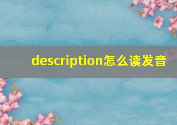 description怎么读发音