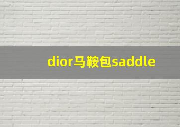 dior马鞍包saddle