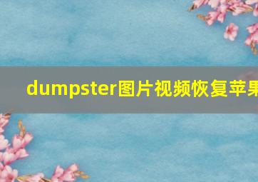 dumpster图片视频恢复苹果