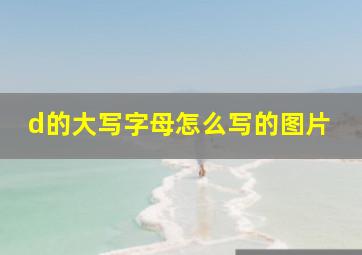 d的大写字母怎么写的图片