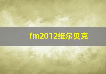 fm2012维尔贝克