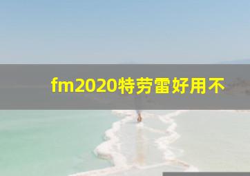 fm2020特劳雷好用不