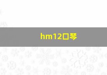 hm12口琴