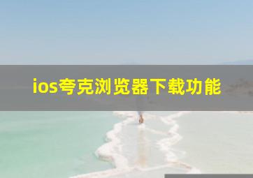 ios夸克浏览器下载功能