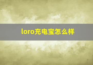 loro充电宝怎么样