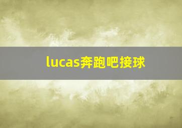 lucas奔跑吧接球