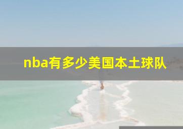 nba有多少美国本土球队