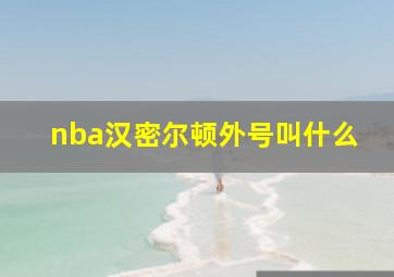 nba汉密尔顿外号叫什么