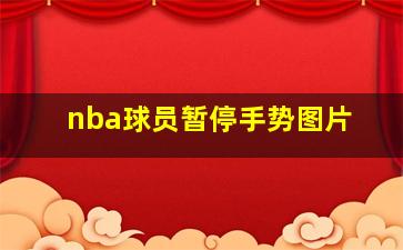 nba球员暂停手势图片