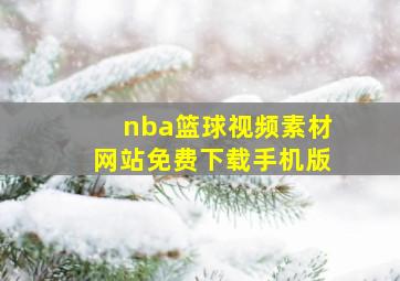 nba篮球视频素材网站免费下载手机版