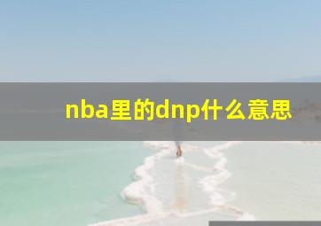 nba里的dnp什么意思