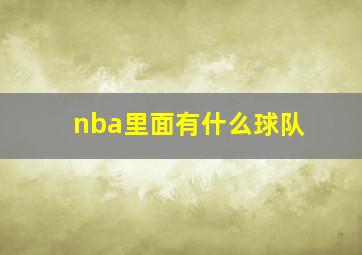 nba里面有什么球队