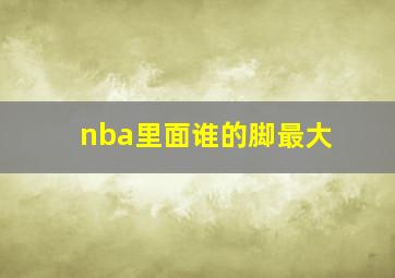 nba里面谁的脚最大