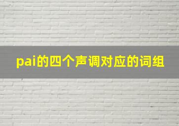 pai的四个声调对应的词组