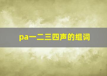 pa一二三四声的组词