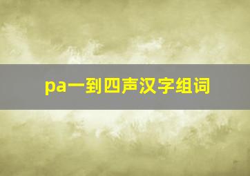 pa一到四声汉字组词