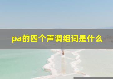 pa的四个声调组词是什么