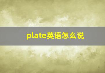 plate英语怎么说