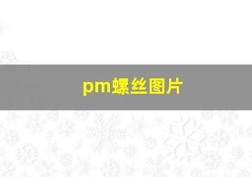 pm螺丝图片