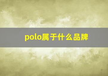 polo属于什么品牌