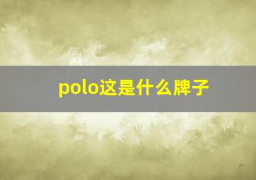 polo这是什么牌子