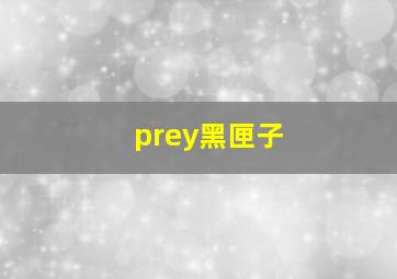 prey黑匣子