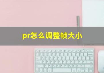 pr怎么调整帧大小