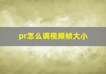 pr怎么调视频帧大小