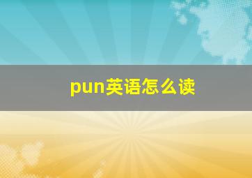 pun英语怎么读