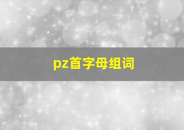 pz首字母组词