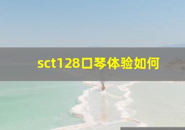 sct128口琴体验如何