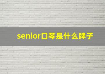 senior口琴是什么牌子