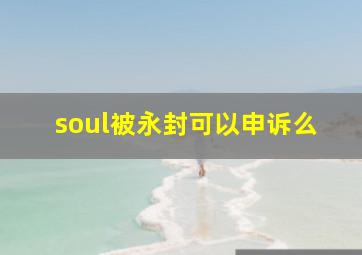 soul被永封可以申诉么