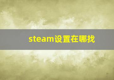 steam设置在哪找