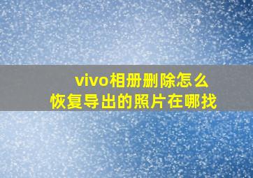 vivo相册删除怎么恢复导出的照片在哪找