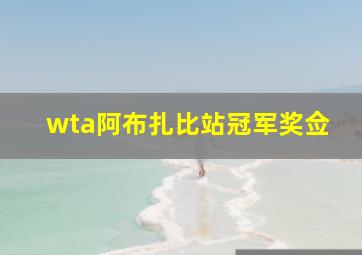 wta阿布扎比站冠军奖佥