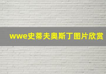 wwe史蒂夫奥斯丁图片欣赏