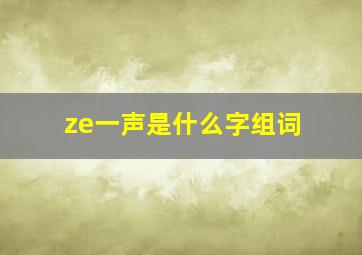 ze一声是什么字组词